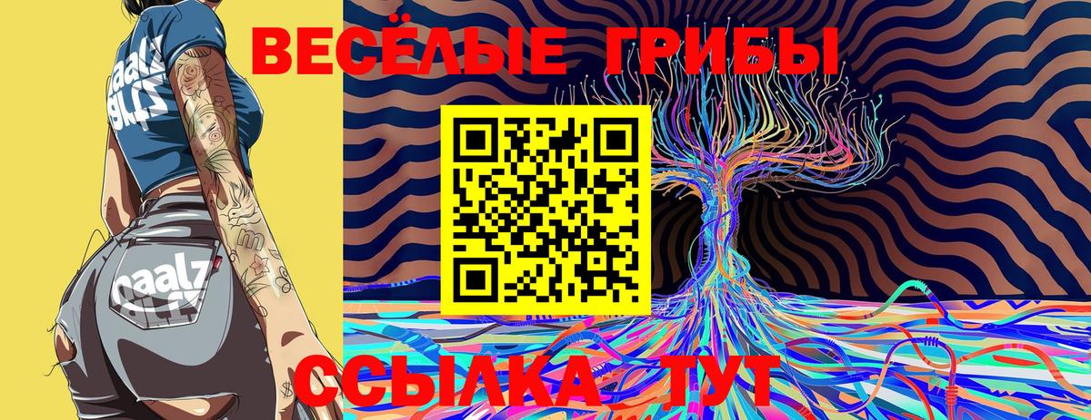 как найти закладки  Галлюциногенные грибы ЛСД  Вход с VPN  Петрозаводск  Псилоцибиновые грибы ЛСД 