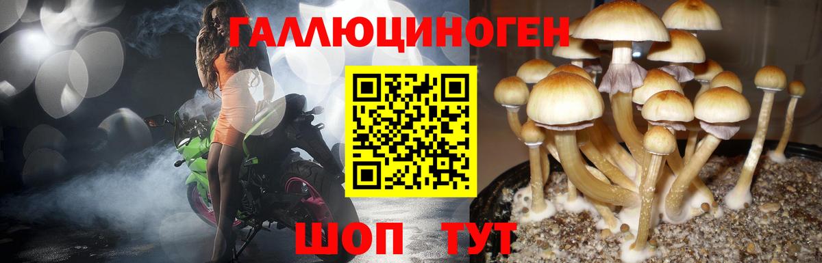 Галлюциногенные грибы мухоморы Петрозаводск